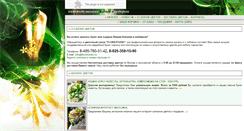 Desktop Screenshot of florastudio.ru
