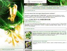 Tablet Screenshot of florastudio.ru